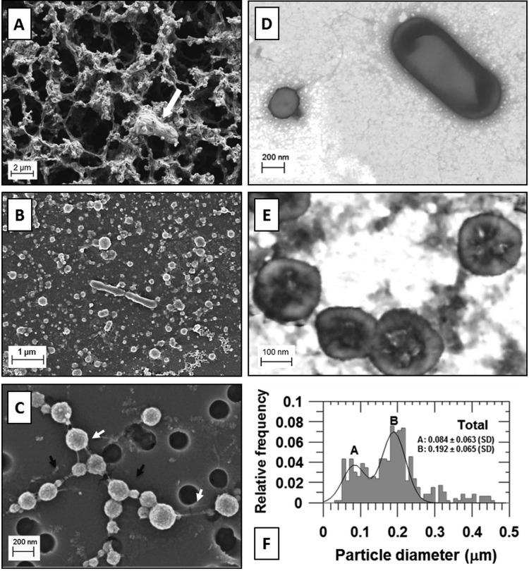 FIG 2