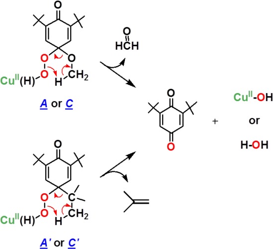 Scheme 5