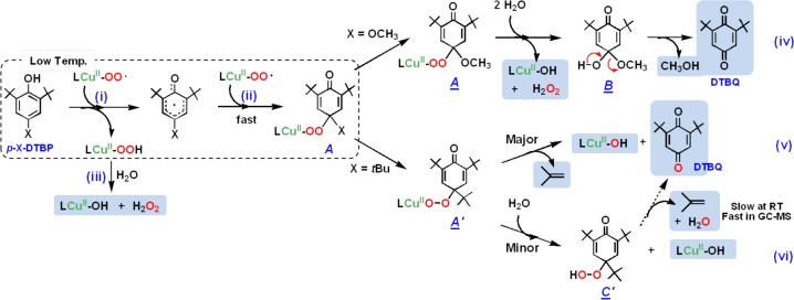 Scheme 4