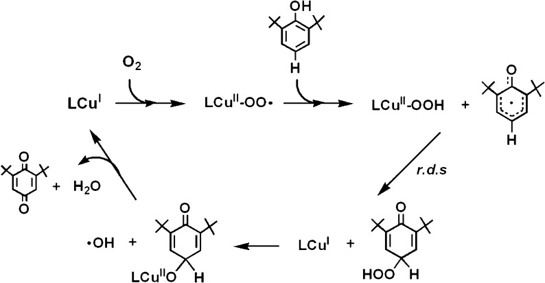 Scheme 8