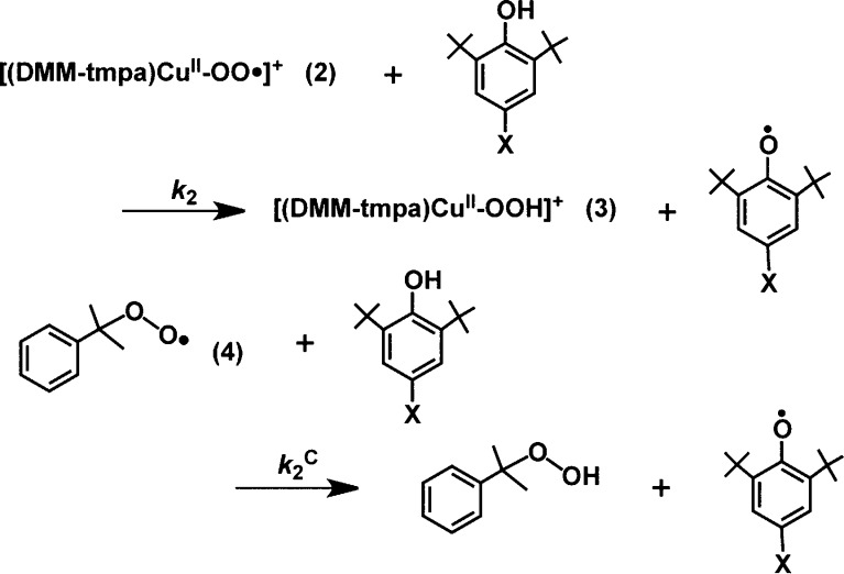 Scheme 2