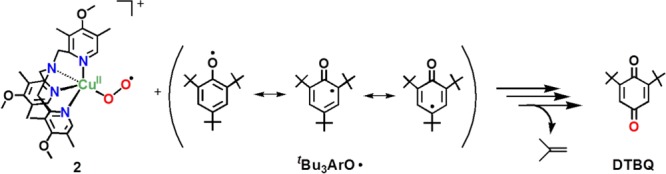 Scheme 6