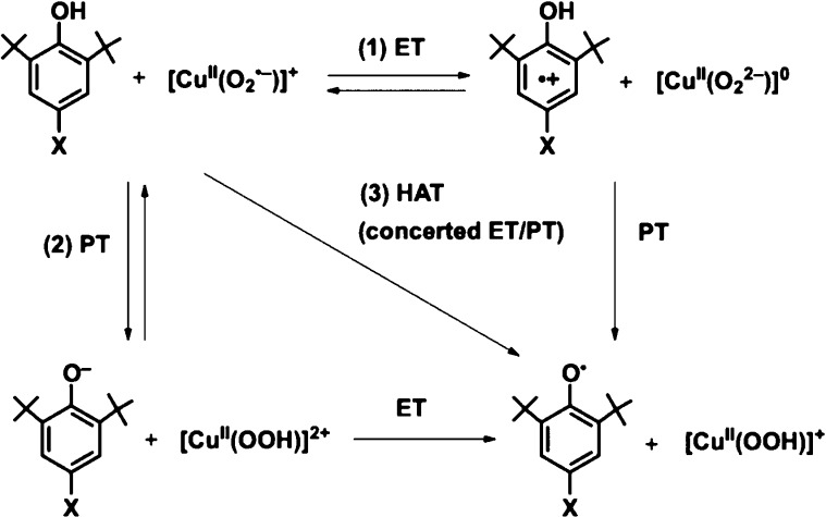 Scheme 3