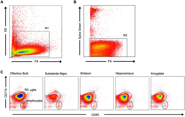 FIGURE 2