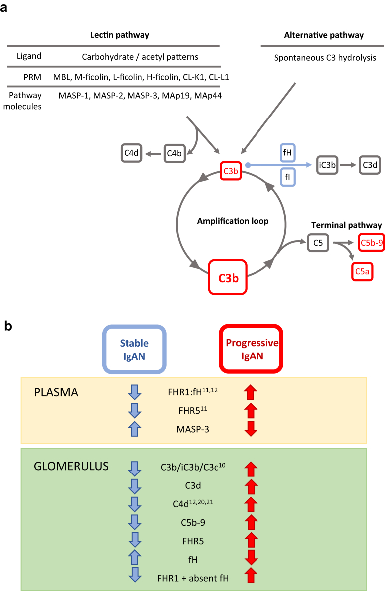 Figure 6