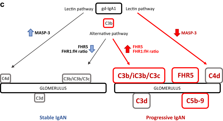 Figure 6