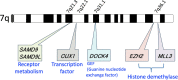 FIGURE 3