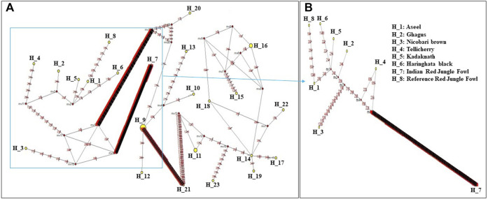 FIGURE 4