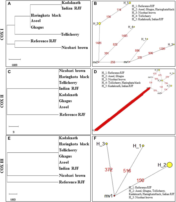 FIGURE 6