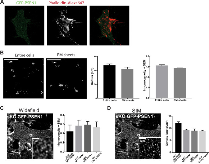 Figure 1—figure supplement 2.