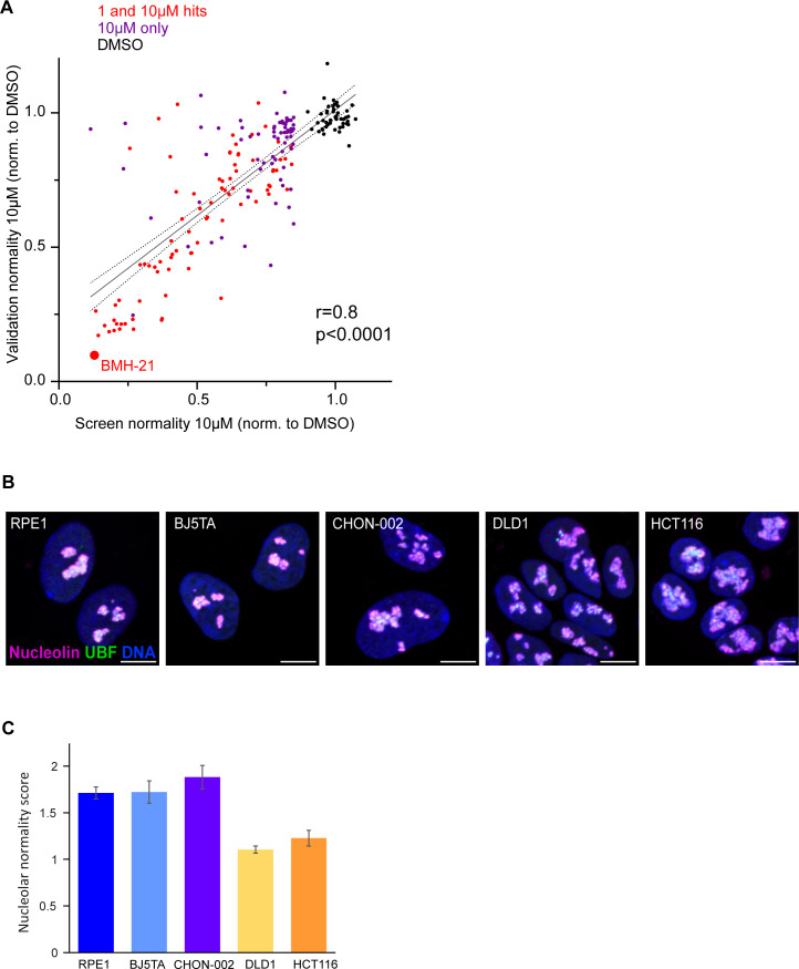 Figure 2—figure supplement 1.