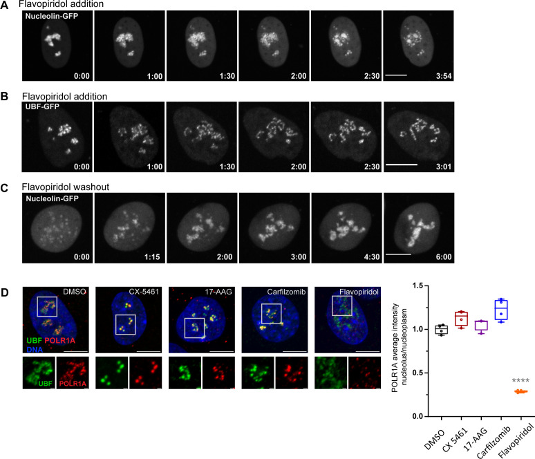 Figure 3—figure supplement 2.