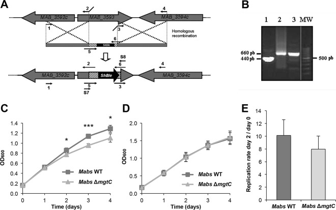 FIG 2