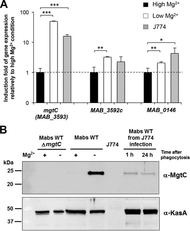 FIG 3