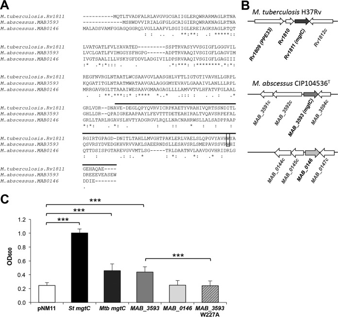 FIG 1