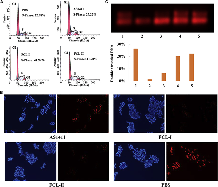 Figure 3