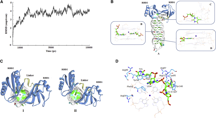 Figure 5