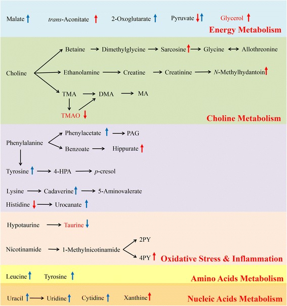 Fig. 7