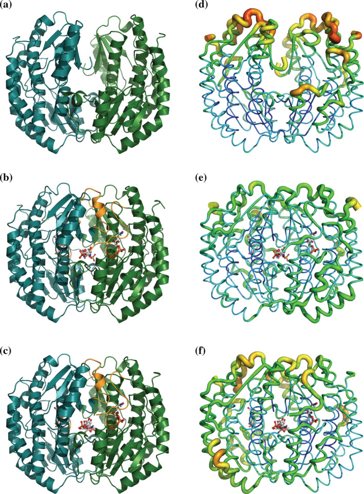 FIGURE 2