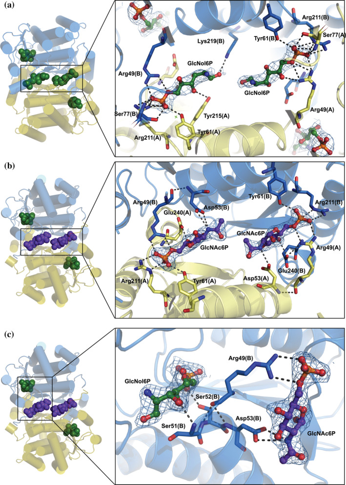 FIGURE 3