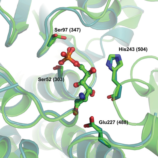 FIGURE 4