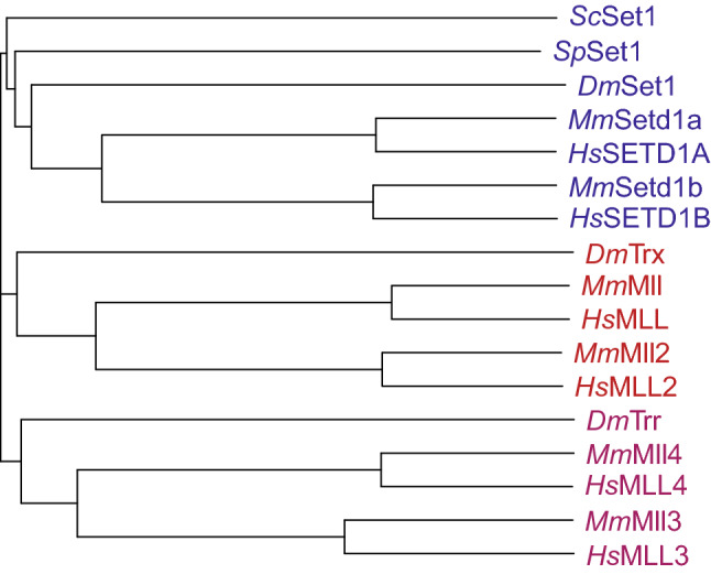 Fig. 1