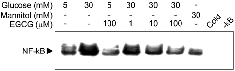 FIG. 5