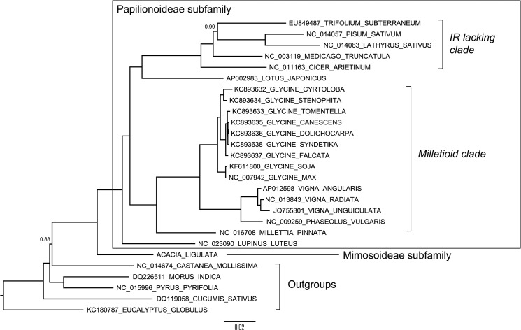 Fig 4