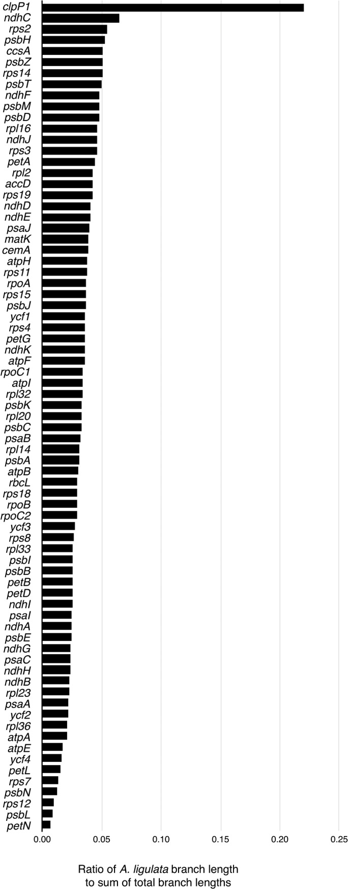 Fig 5