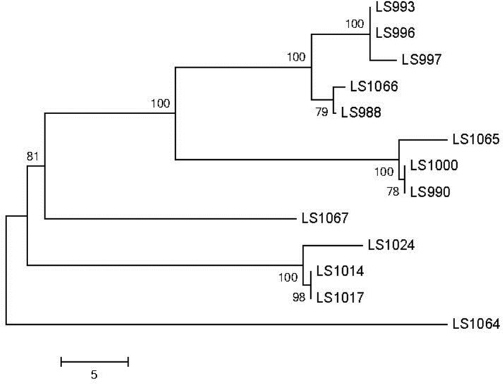 Fig 2