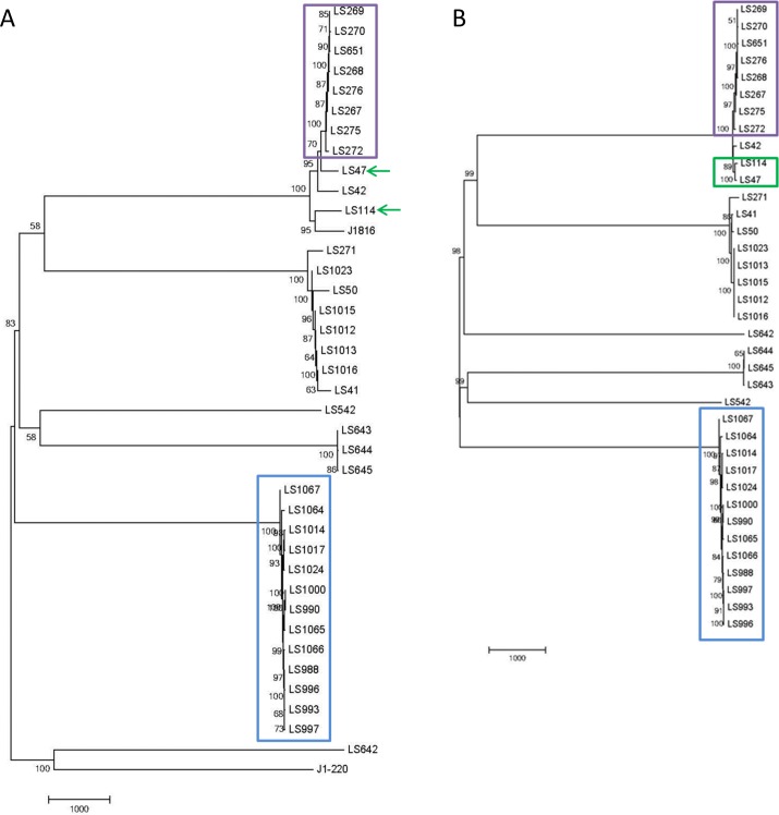 Fig 3