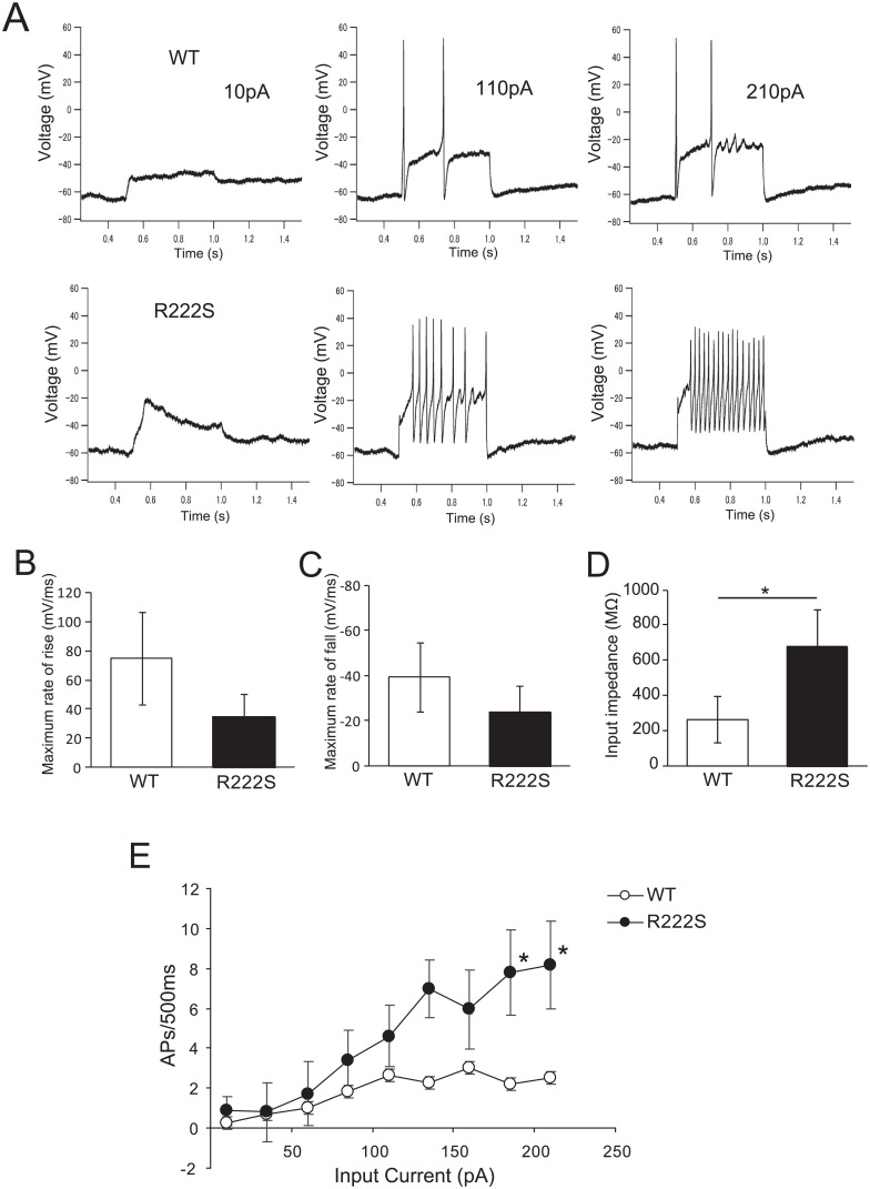 Fig 6