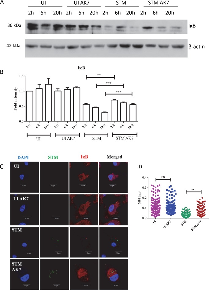 Fig 6