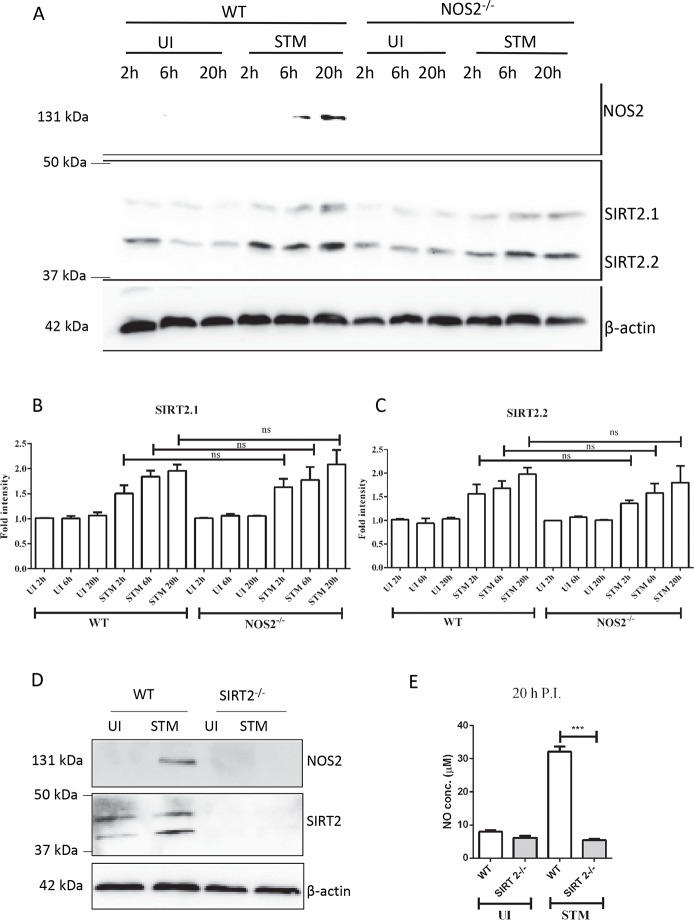 Fig 4