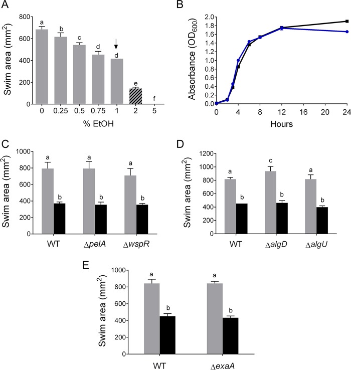 FIG 1