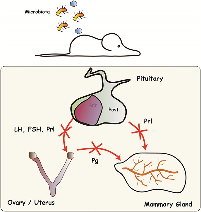 Figure 10.