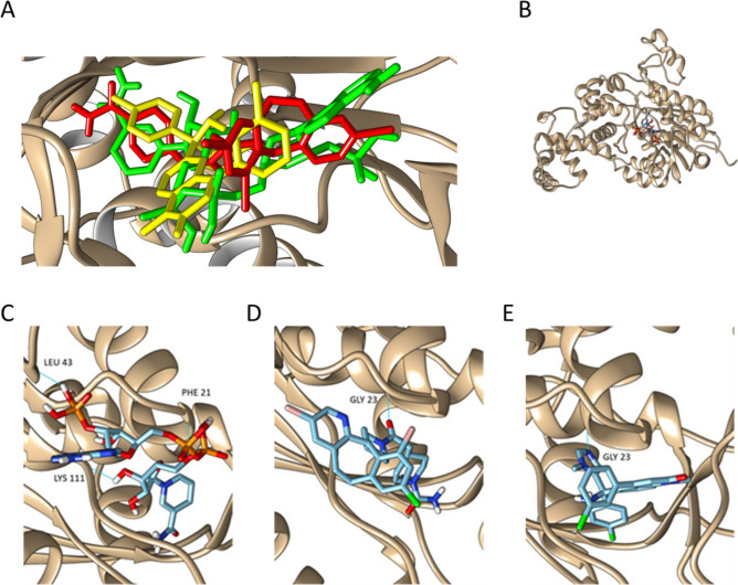 Figure 2