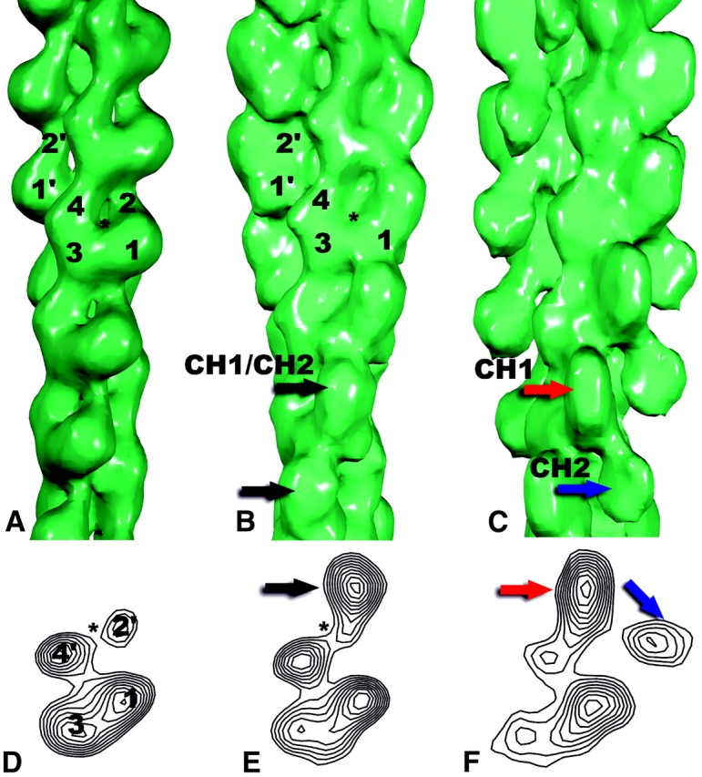 Figure 5.