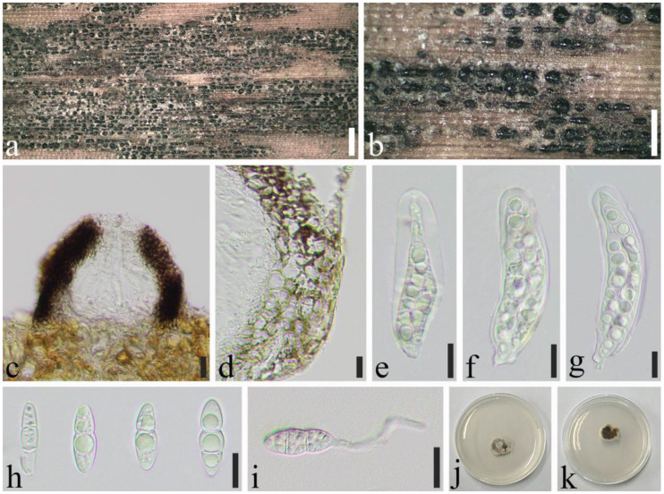 Figure 10