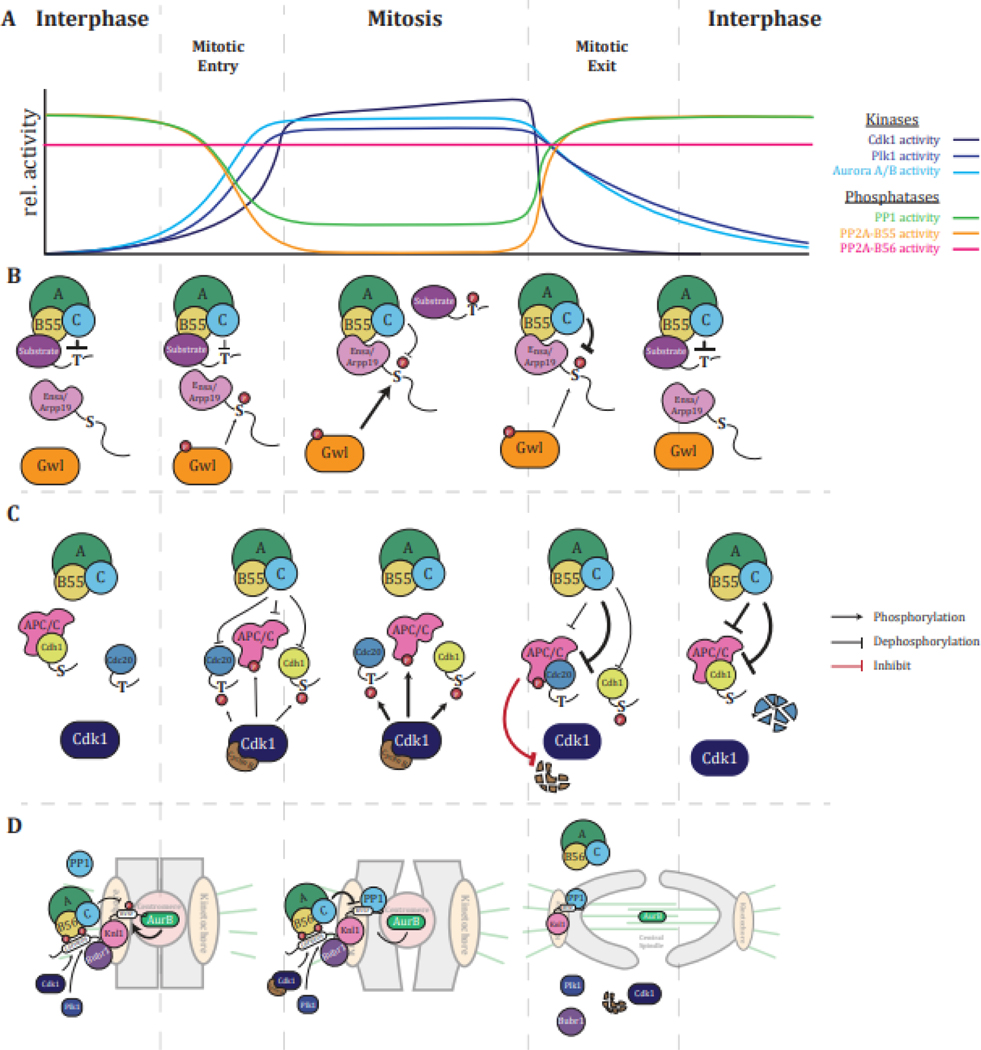 Figure 3: