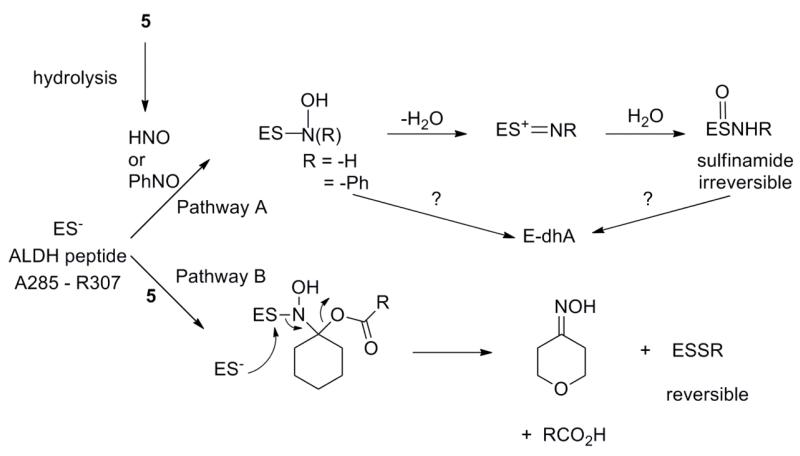 Figure 8