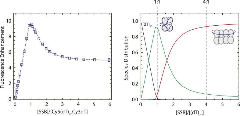 Figure 1—figure supplement 6.