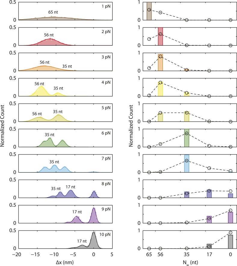 Figure 6—figure supplement 1.