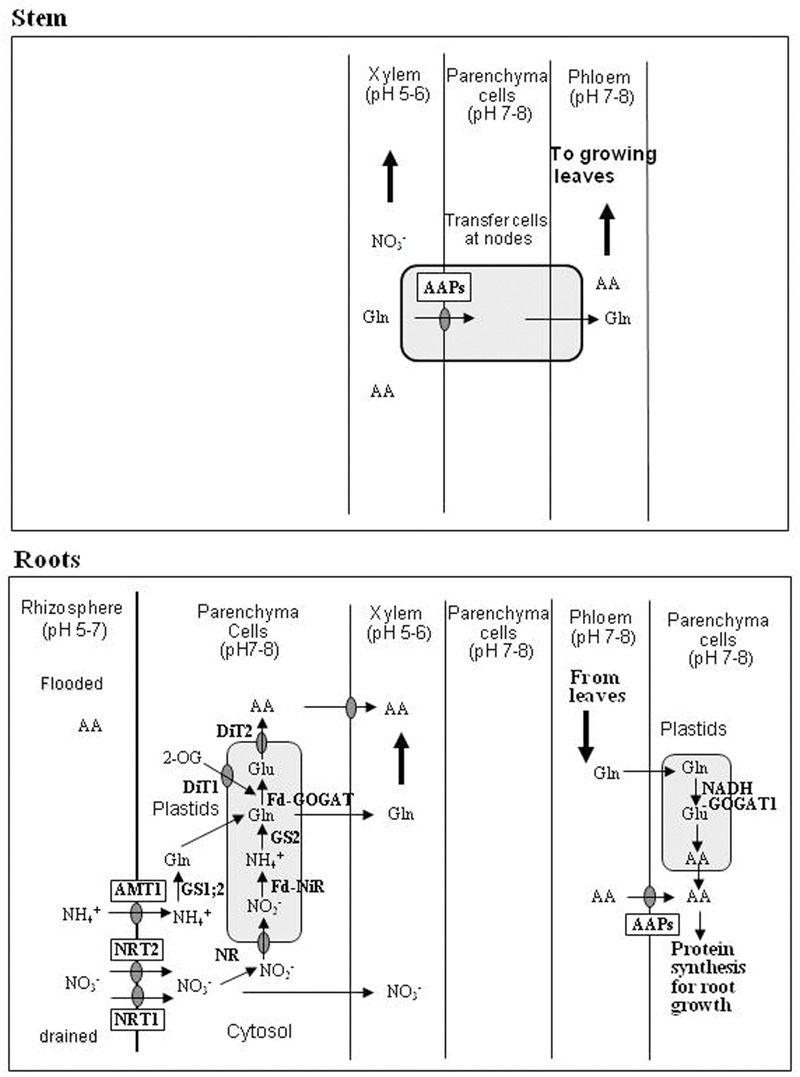 FIGURE 2