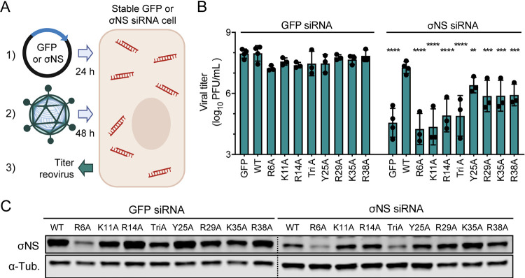 FIG 3