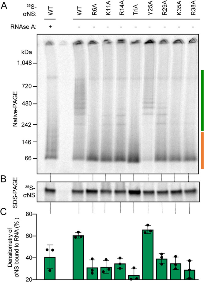 FIG 2