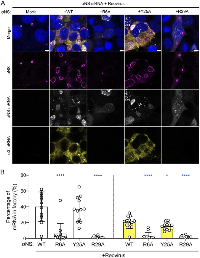 FIG 6