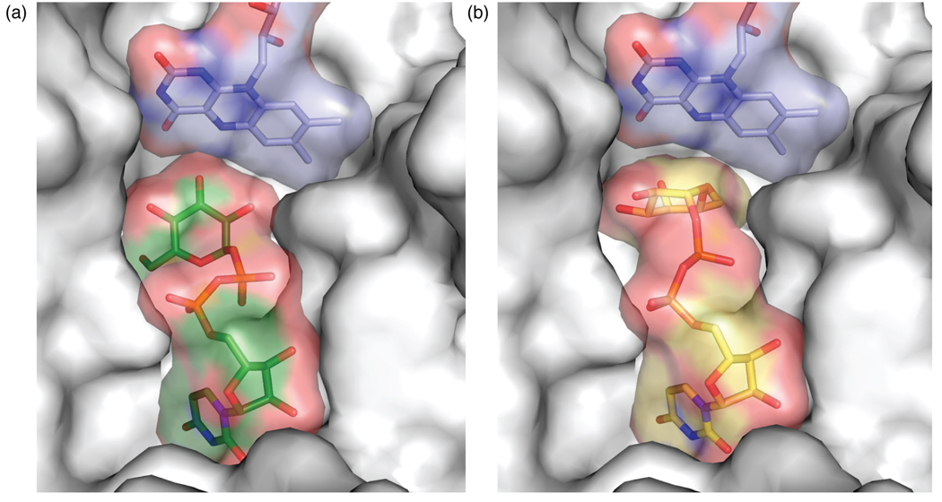 Figure 7