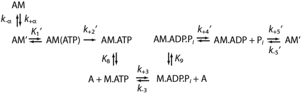 Scheme-1