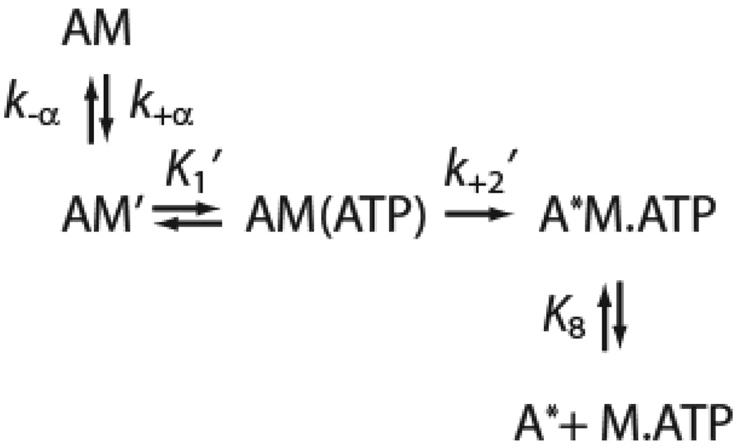 Scheme 3